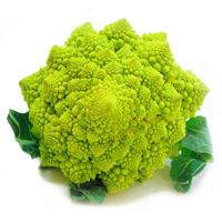 Romanesco